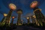 Gardens by the Bay
