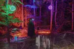 Magical Forest – Egedal Municipality