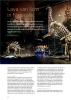 Lava of light in museum Naturalis, by Trea ten Kate