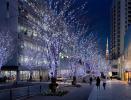 Roppongi Hills Christmas Illumination (photo by Toshio Kaneko)