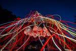 Hedera / Bric New York 
