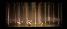 The Feeling of Going Skanes Dance Theatre