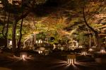 Akiu night museum, Tensyukaku natural park  (photo by Kazuhiko Monden)