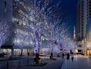 Roppongi Hills Christmas Illumination  (photo by Toshio Kaneko)