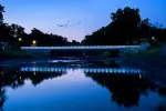 Richmond Bridge