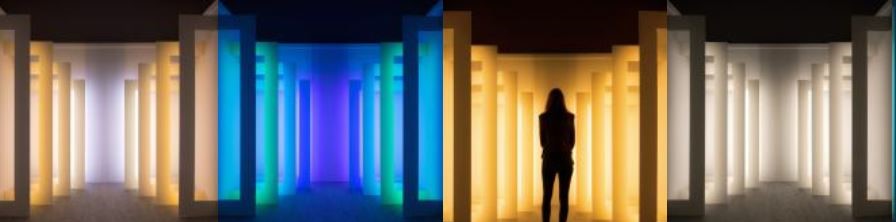 Mental Happiness, Light Trend 2015